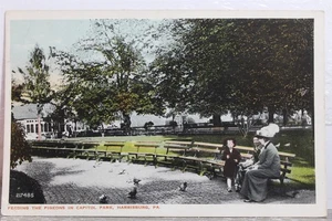 Pennsylvania PA Harrisburg Capitol Park Pigeons Postcard Old Vintage Card View - Picture 1 of 2