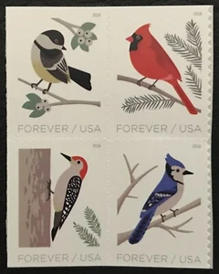 2018 Scott #5317-5320 - BIRDS IN WINTER - Booklet Block of 4 Stamps - Mint NH - Picture 1 of 1