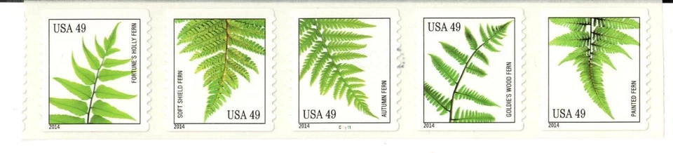Scott 4848-4852 49¢ Ferns P#C1111 MNH Free shipping in the USA! - Image 1 of 1