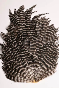 Nature's Spirit Select Hen Saddle for Fly Tying - Picture 1 of 14