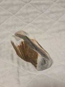 Vintage Elch Geweih Brief/Schein Halter 4 Zoll mal 1,5 Zoll braun/hellbraun - Bild 1 von 7