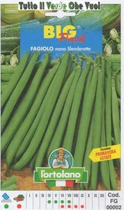 FAGIOLINO NANO SLENDERETTE BIG PACK - SEMI ORTICOLI - - Picture 1 of 1