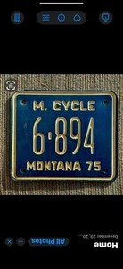 Targa MONTANA 1975 ** MOTO ** CONTEA DI GALLATINA * scritta da incasso - Foto 1 di 1