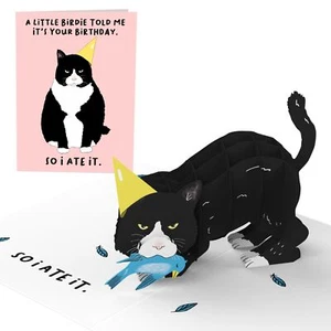 CENTRAL 23 Pop Up Birthday Cards For Women & Men - 3D Pop Up Cards for Cat Lo... - Picture 1 of 8