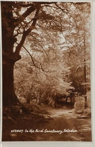 OLD POSTCARD SELSDON IN THE BIRD SANCTUARY - Picture 1 of 2