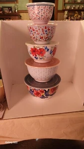 ¡Nuevo Juego de 10 Tazones para Servir Floral Melamina Pioneer Woman Heritage con Tapas!!¡! - Imagen 1 de 4