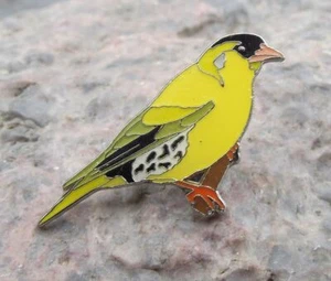 European Yellow Siskin Finch Small Garden Bird Wildlife Brooch Pin Badge - Picture 1 of 2