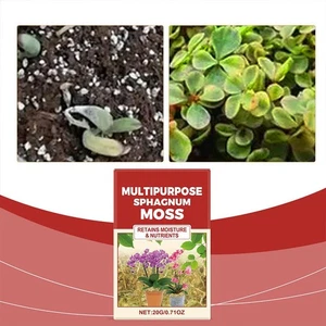 Künstlicher Moos Rasen Gras Garten Fake Home Dekoration Wand DIY F4N2 - Bild 1 von 12