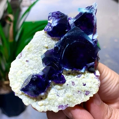 177G  Natural purple cubic fluorite mineral crystal sample/China - Image 1 of 4