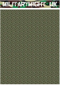 FOGLIO DIORAMA PARACADUTISTA TEDESCO SCALA 1 18/1 16 TELONI MIMETICI MILITARI WW2 - Foto 1 di 2