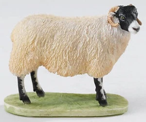 Border Fine Arts Studio Swalesdale Ewe A22581 - Bild 1 von 1