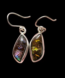 Multi Coloured Ammolite Earrings, Sterling Silver, Fossilized Shells of Ammonite - Picture 1 of 9
