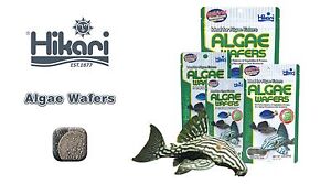 Hikari Tropical Aquarium Algae Wafers 20g 40g 82g 250g 1Kg , japan fish food