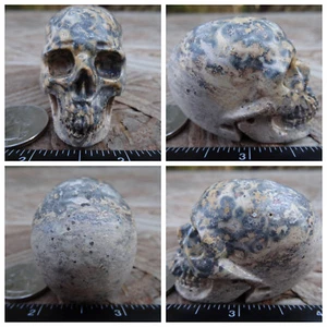 Calavera de piedra de jaspe piel de leopardo de 2,02" tallada a mano 81 g 2,8 oz cristal curativo - Imagen 1 de 12