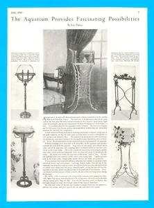 1930 rivista articolo su acquari ornamentale acquario pesci tropicali pesci rossi - Foto 1 di 3