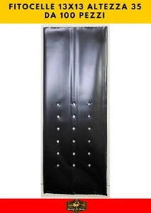 PHYTO CELLS SIZE 13X13 HEIGHT 35 THICKNESS 0.15 IN PACK OF 100 PIECES - Picture 1 of 3