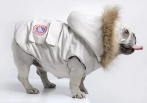 Designer Dog Coat Canada Goose Style Dog Coat Jacket Luxury Dog Coat - Picture 1 of 29