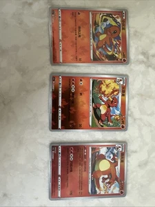 Pokemon TCG Chinese Exclusive Charizard Combo Set Holo Card US SELLER 🇺🇸 - Bild 1 von 8
