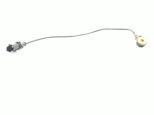 20 Polaris RZR Pro XP 4 Unlimited Audio Sensor - Picture 1 of 7