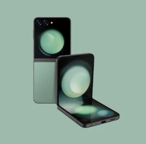 Samsung Galaxy Z Flip5 (SM-F731W) 256 Go comme neuf débloqué | Excellent - Photo 1 sur 4