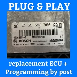 PLUG & PLAY VAUXHALL CORSA D ECU 0281019795 55593980 00WQ + PROGRAMACIÓN POR CORREO - Imagen 1 de 3