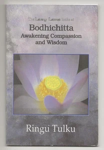 Lazy Lama: Bodhichitta: Awakening Compassion & Wisdom (2001) Ringu Tulku - Imagen 1 de 2