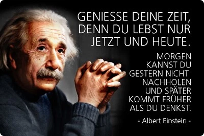 Blechschild 20x30cm gewölbt Geniesse deine Zeit Einstein Deko Geschenk Schild