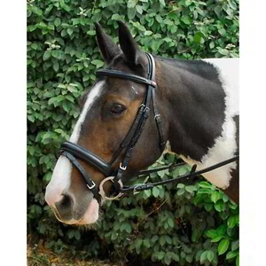 Brida STS Windsor Comfort negra - Imagen 1 de 1
