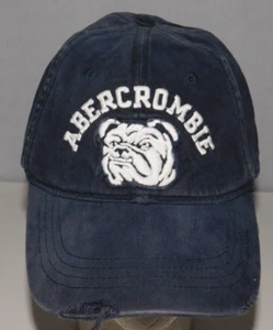 Vtg Abercrombie & Fitch Embroidered Bulldog Logo Fitted Hat Cap 1892 sz L/XL - Picture 1 of 5
