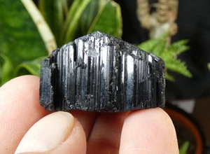 Kristall Turmalin schwarz Schorl fertig 3,5x3cm Madagaskar Mineral Reiki Stein - Bild 1 von 6