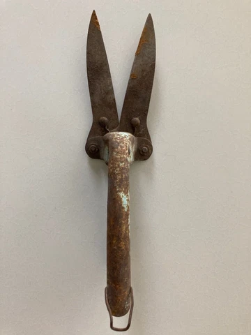 Vintage-Antique Hand Grass Clippers, Shears, Original Green Paint Garden Tool Cover