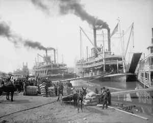 Steamboats in Vicksburg, Mississippi, Early 1900's, New Reproduction Picture - Picture 1 of 1