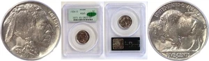 1934-D 5C Buffalo Nickel PCGS MS-65 CAC - Picture 1 of 3