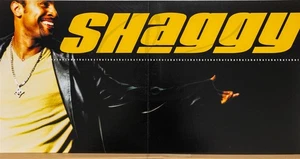 SHAGGY DANCE&SHOUT Album Cover Promo 12x12 Flat Double Sided Poster - Picture 1 of 5