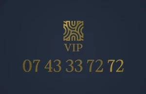 07 43 33 72 72 - Numéro de téléphone - Facile / Vip ⚜️. Transfert du numéro. - Zdjęcie 1 z 1