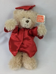Gund Worlds Greatest Grad Bear Graduates 9 Inch 319525 Stuffed Animal Toy - Picture 1 of 6