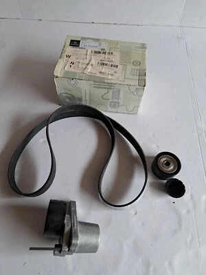 KIT CORREAS ACANALADAS ORIGINALES MERCEDES-BENZ VITO W447 1.6 A6229930396 Foto 1 de 4