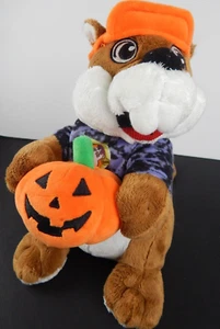 2024 Buc-ee’s Bucees Beaver Halloween Plush Pumpkin Limited Edition 10" - Picture 1 of 6