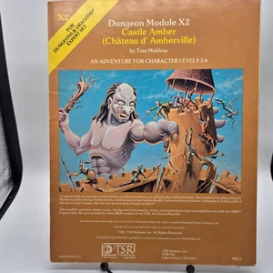 VTG. ADVANCED DUNGEONS & DRAGONS MODULES ~ CASTLE AMBER ~ X2 ~ #9051 - Picture 1 of 3