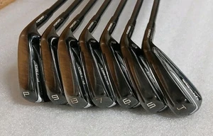 TaylorMade P790 Black Iron Set 4-PW Dynamic Gold 105 S300 Stiff Steel Shafts - Picture 1 of 11