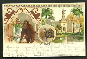 Affe Orang-Utan Berlin Zoo Deutschland 2 Briefmarken 1899 - Bild 1 von 1