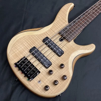Bajo YAMAHA TRBX605FM NS de 5 cuerdas en arce flameado Foto 1 de 4