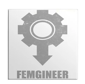 Ingenieurschild weibliches Zeichen lustig Homor Verarbeiter Wortspiel Witz Wissenschaft Kühlschrankmagnet - Bild 1 von 7