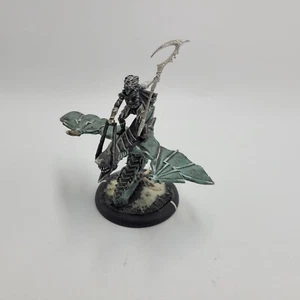 Blighted Nyss Sorceress & Hellion [x1] Legion of Everblight [Hordes] Painted - Bild 1 von 3