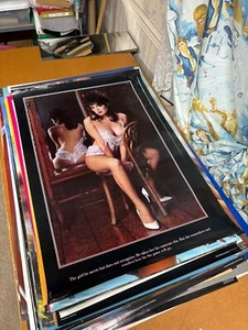 #29 Vintage 1987 Poster 35x23 Deborah Zullo White Lace & Heels Man Cave Poster - Picture 1 of 6