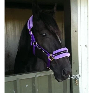 Collare testa di cavallo cavallo bianco equitazione soffice elegante diamante finto pile pony - Foto 1 di 16
