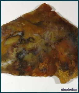 zbv- Select Graveyard Point Plume Agate Rough Slab!! - Picture 1 of 1