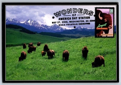#4041 Wonders of America Largest Mammal Bison FDC Maxi Card w/Pictorial Cancel - Image 1 of 2