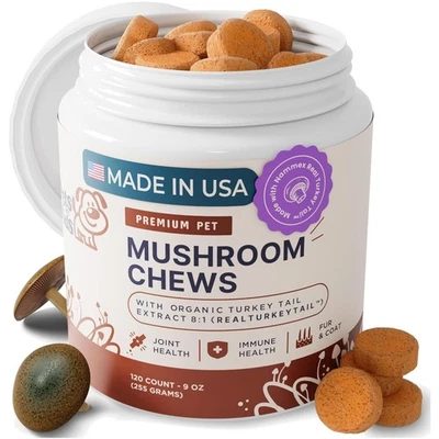 Natural Turkey Tail Mushroom Chews for Dogs - 120 Chews for Lifelong Wellness - Image 1 of 4
