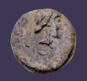 Archaios | Seleukid Empire ANTIOCHOS III - Apollo | Elefant | AE | Inv54.8 - Bild 1 von 2